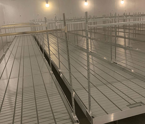 Wind Load 0.5KN M2 Vegetables Growing Greenhouse Blackout System For Agriculture