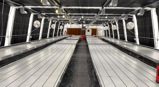 Wind Load 0.5KN M2 Vegetables Growing Greenhouse Blackout System For Agriculture