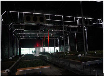 Tunnel 100% Light Deprivation Blackout System Greenhouse With Hydrophobic System