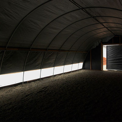 Serra ad illuminazione a LED avanzata con controllo automatico dell'umidità di temperatura e del CO2 per una crescita superiore delle piante