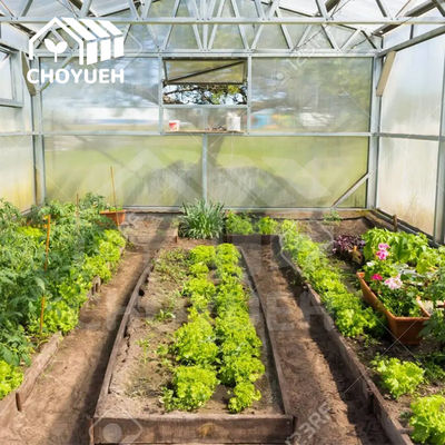 8' X 12' Garden Greenhouse with Rain Protection and Wind Protection
