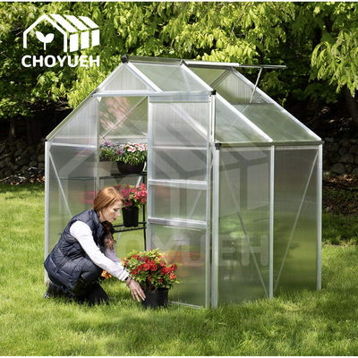 8' X 12' Garden Greenhouse with Rain Protection and Wind Protection