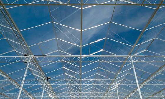 Serra di vetro trasparente con tubi di plating in alluminio e zinco