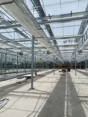 Moderna serra di vetro rettangolare con durabilità e protezione UV