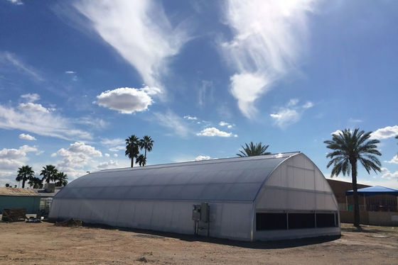 Film di plastica di alluminio zinco rivestito serra UV protetto trasmissione della luce anti invecchiamento anti goccioline