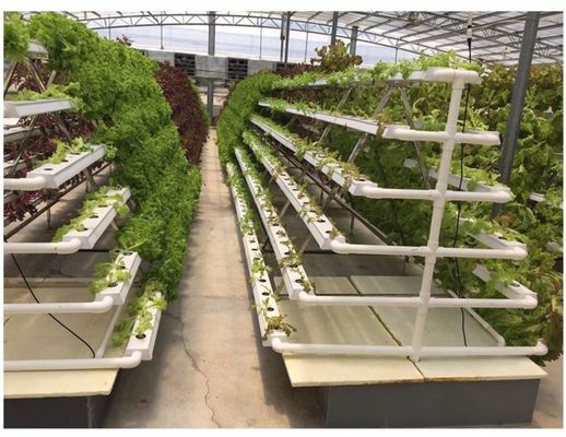 Sistema idroponico a LED con irrigazione automatica